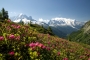 Vlasta Štochlová -Tour du Mont Blanc