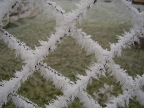 A zima je krásná - Za plotem