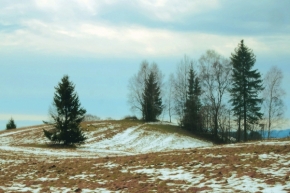 Nedotčená příroda - Poslední sníh