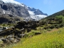 Nedotčená, dechberoucí příroda NZ/3