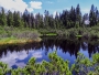 Rašelinová Jezera
