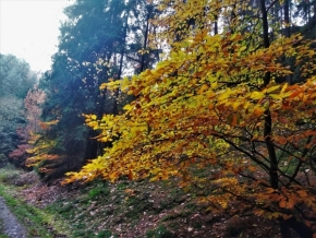 List, listy a listí - Podzim je zpět