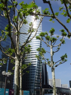 Tiché město a jeho architektura - Paris, La Défense, fotosyntéza