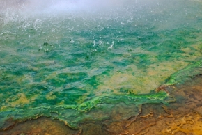 Odstíny zelené - Pobřeží minerálky