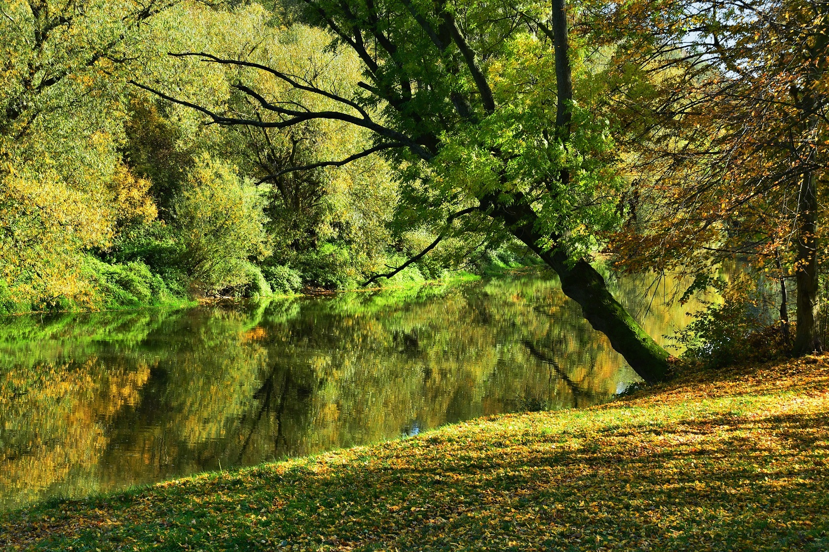 Podzim u řeky