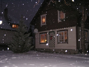 A zima je krásná - První vánoční sníh