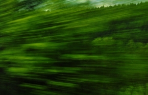 Odstíny zelené - Z vlaku