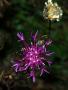 Test6