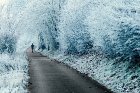 Cyklisté, běžci, cestovatelé a poutníci - Zimní běžec roztocký