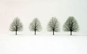 A zima je krásná - Stromy na horizontu