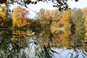 Lenka  Hoffmannová - Barevný rybník