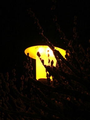 Jan Bradáč - Lampa a větve sněhu