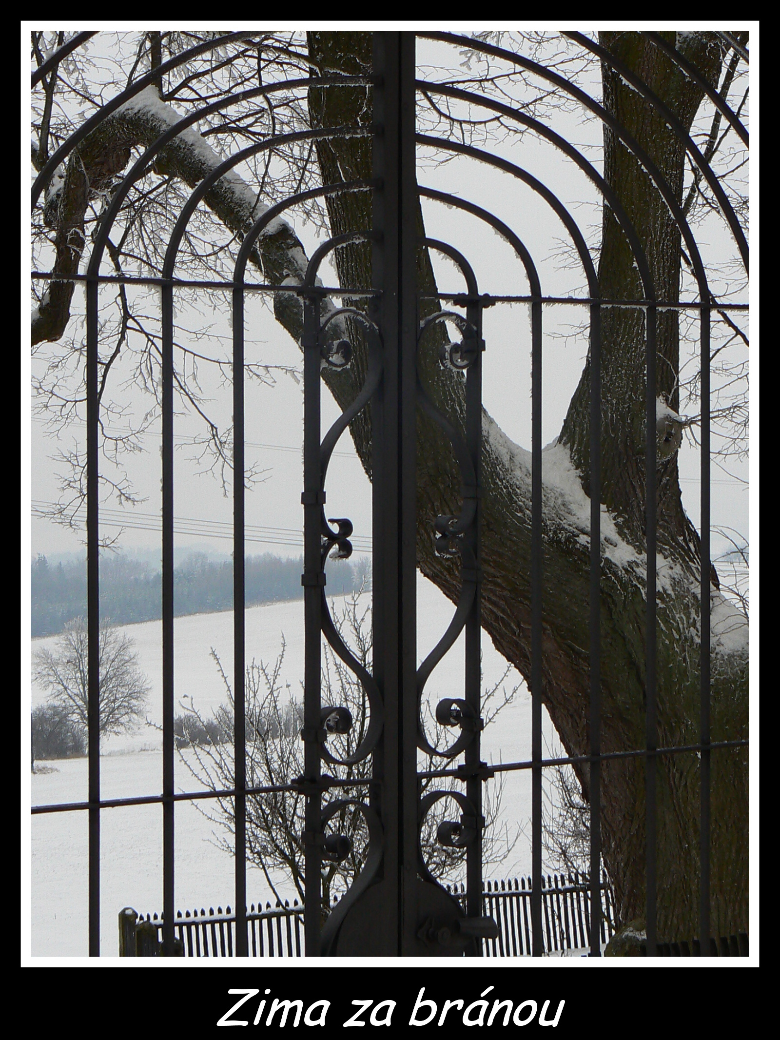 Zima za bránou