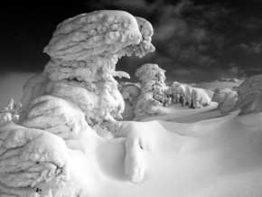 Zimní krajina - Sněhová sfinga