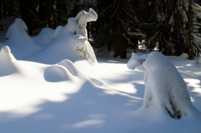 Zimní krajina - Sněhové výtvory - kočka a pes
