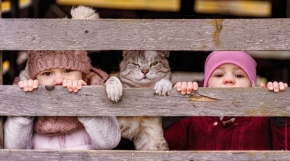 Děti a zvířata - Čekání na lepší časy... :-)