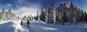 Zimní krajina - Na "Aljašce" 