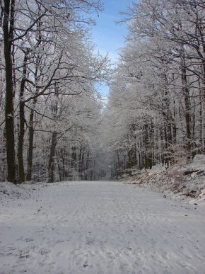 A zima je krásná - Cesta v zime
