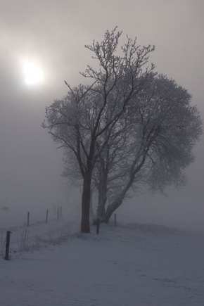 A zima je krásná - Mlha
