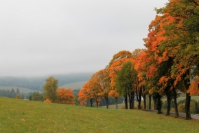 Kristýna Zatloukalová - Listí v barvách podzimu