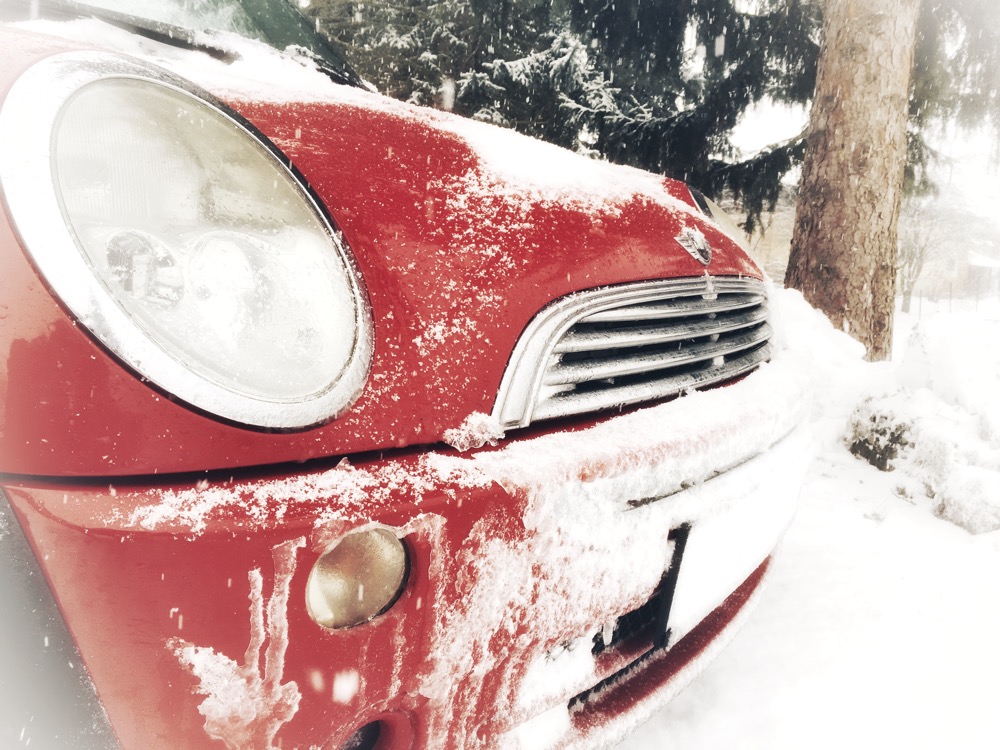 Mini in the snow