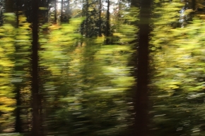 List, listy a listí - Za oknem vlaku