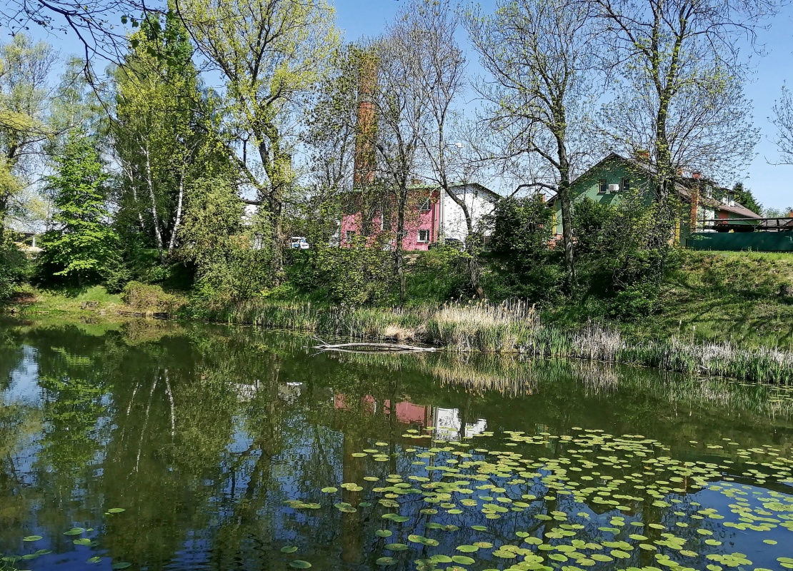 Jarní rybník