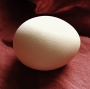 Dana Klimešová -vejce na tvrdo...nebo hniličku...???