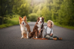 Děti a zvířata - Správná trojka