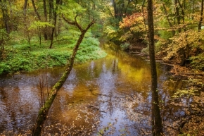 Řeky a potoky, moře a jezera - Podzim na Rokytné