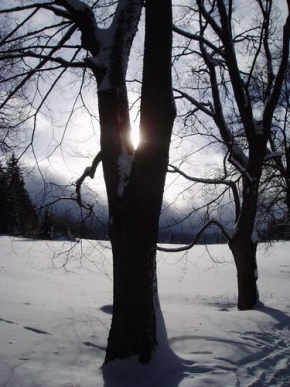 Kouzlení zimy - Schované slunce
