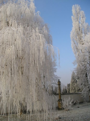 A zima je krásná - Zima u hřbitova za městem IV