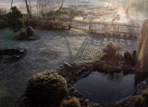 A zima je krásná - Pohled do zahrady