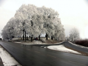 A zima je krásná - Namrzlá krása