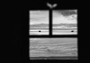Pohled z okna - Fotograf roku - Kreativita - I.kolo - Volnost