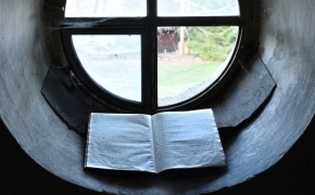Pohled z okna - Pohled z okna 4