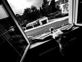 Pohled z okna - Fotograf roku - Kreativita - I.kolo - Nude