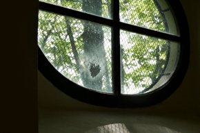 Pohled z okna - Pohled z okénka