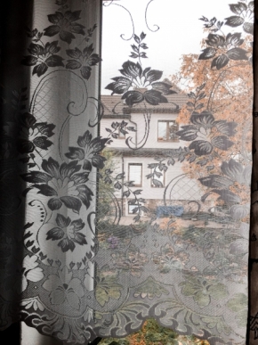 Pohled z okna - Za záclonou