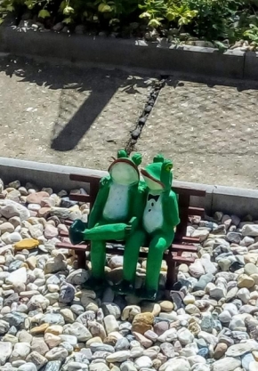 Dva - Žabáci zdobí zahrádku