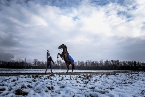 Život se zvířaty - Fotograf roku - Kreativita - VI.kolo - Kůň a jeho paní