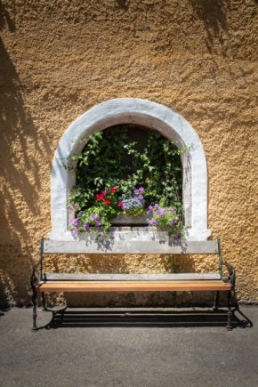Domácí květiny - V okně