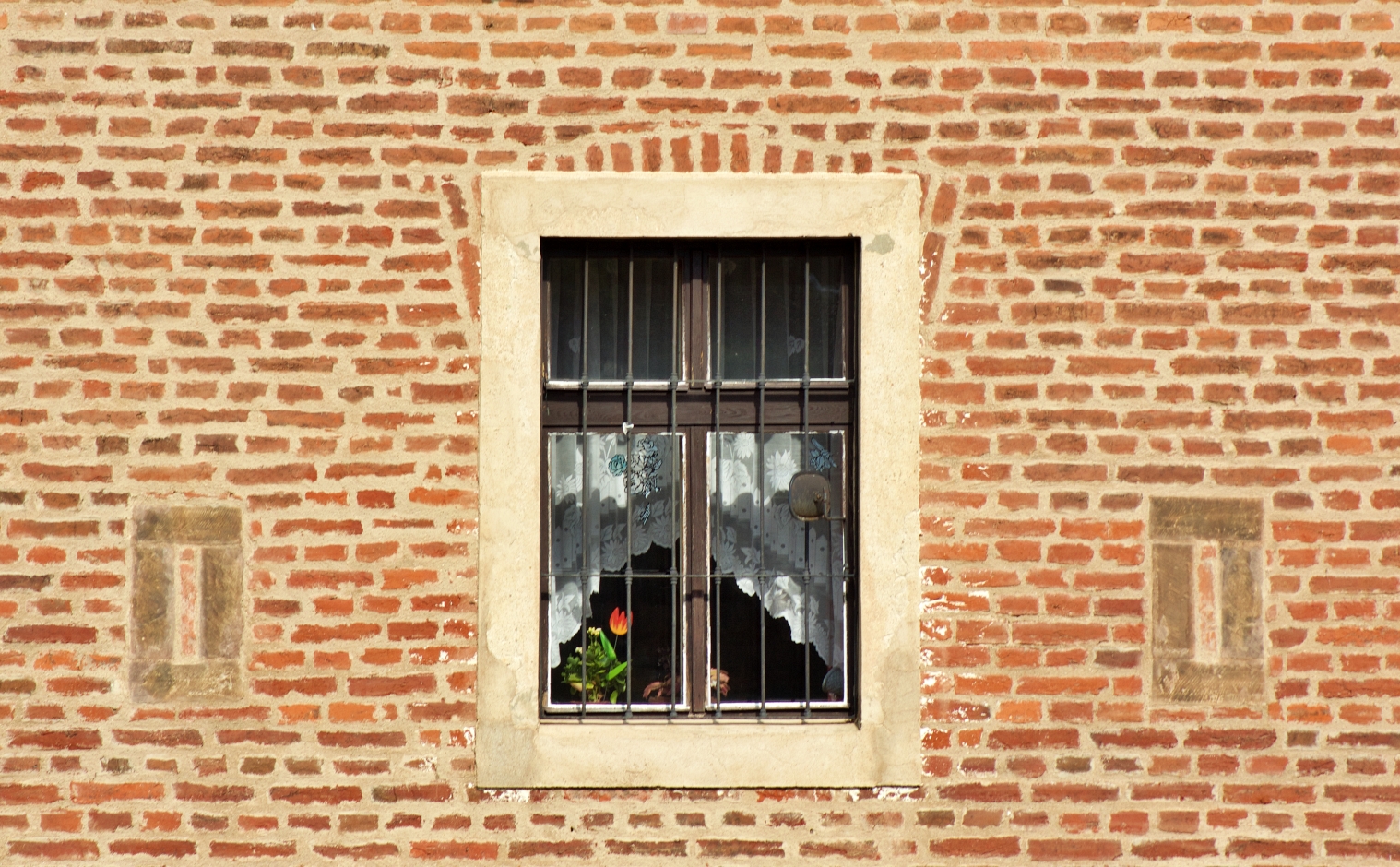 Květiny v Terezínském okně
