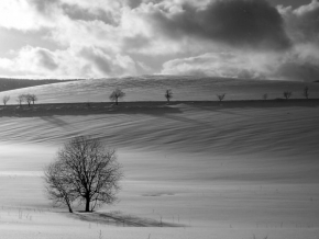 Kouzlení zimy - Fotograf roku - kreativita - Reklama na ticho