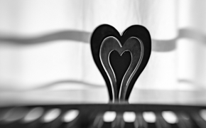 Srdce a lásky čas - Fotograf roku - Kreativita - V.kolo - Heart vibes