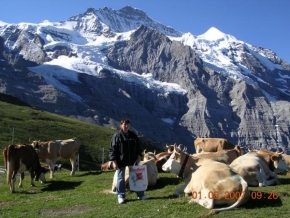 Na cestách i necestách - Pravá alpská milka