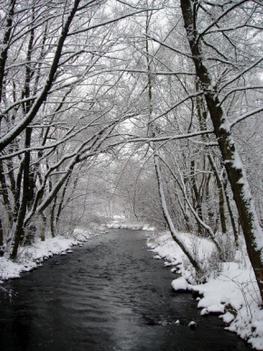 A zima je krásná - Potok v zime