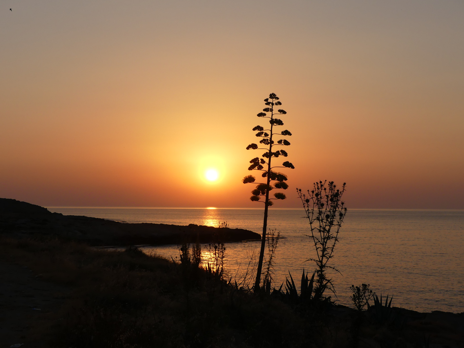 Kypr 2