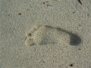 Stopy - Otisk v písku