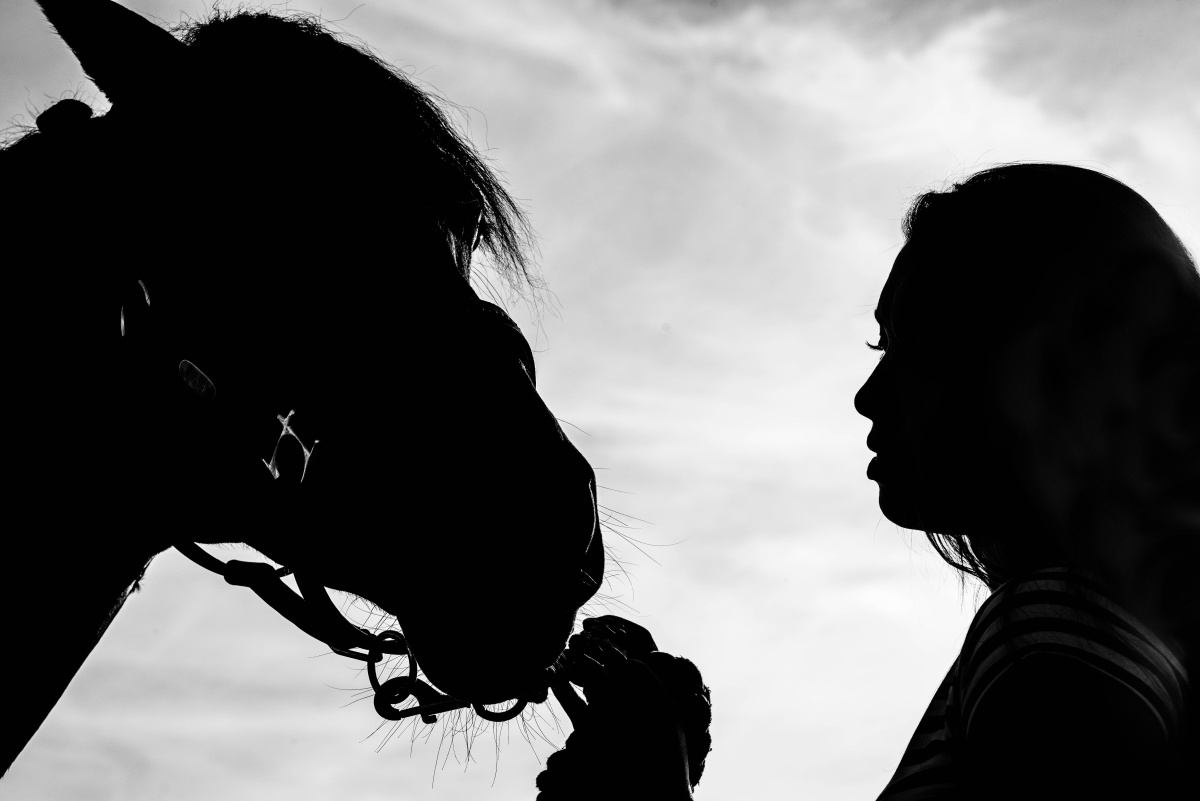 Dívka se svým koněm